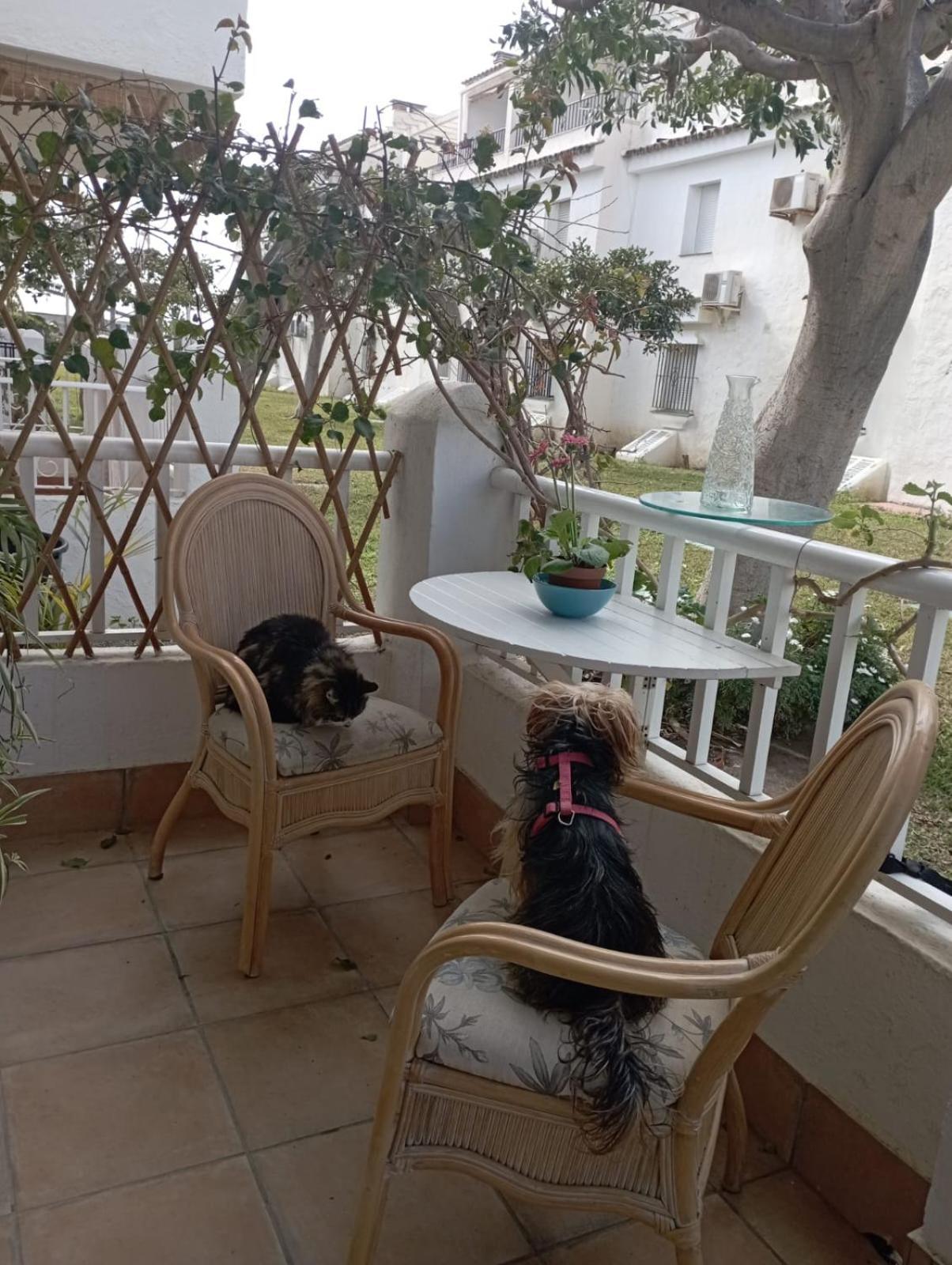 Apartamento Laguna Beach Torrox Costa Eksteriør billede